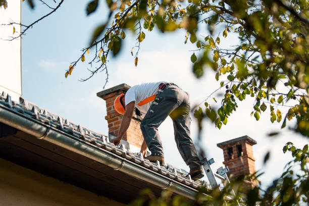 Best Roof Gutter Cleaning  in Franklin, OH